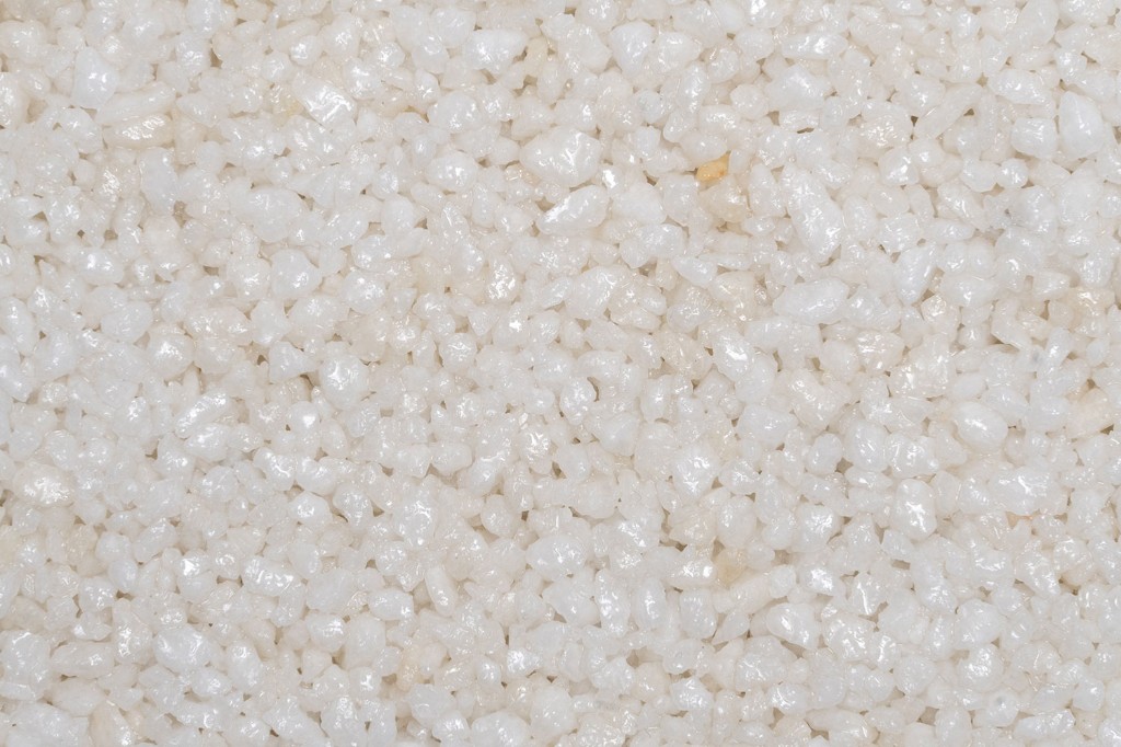 ForteCast Pearl
